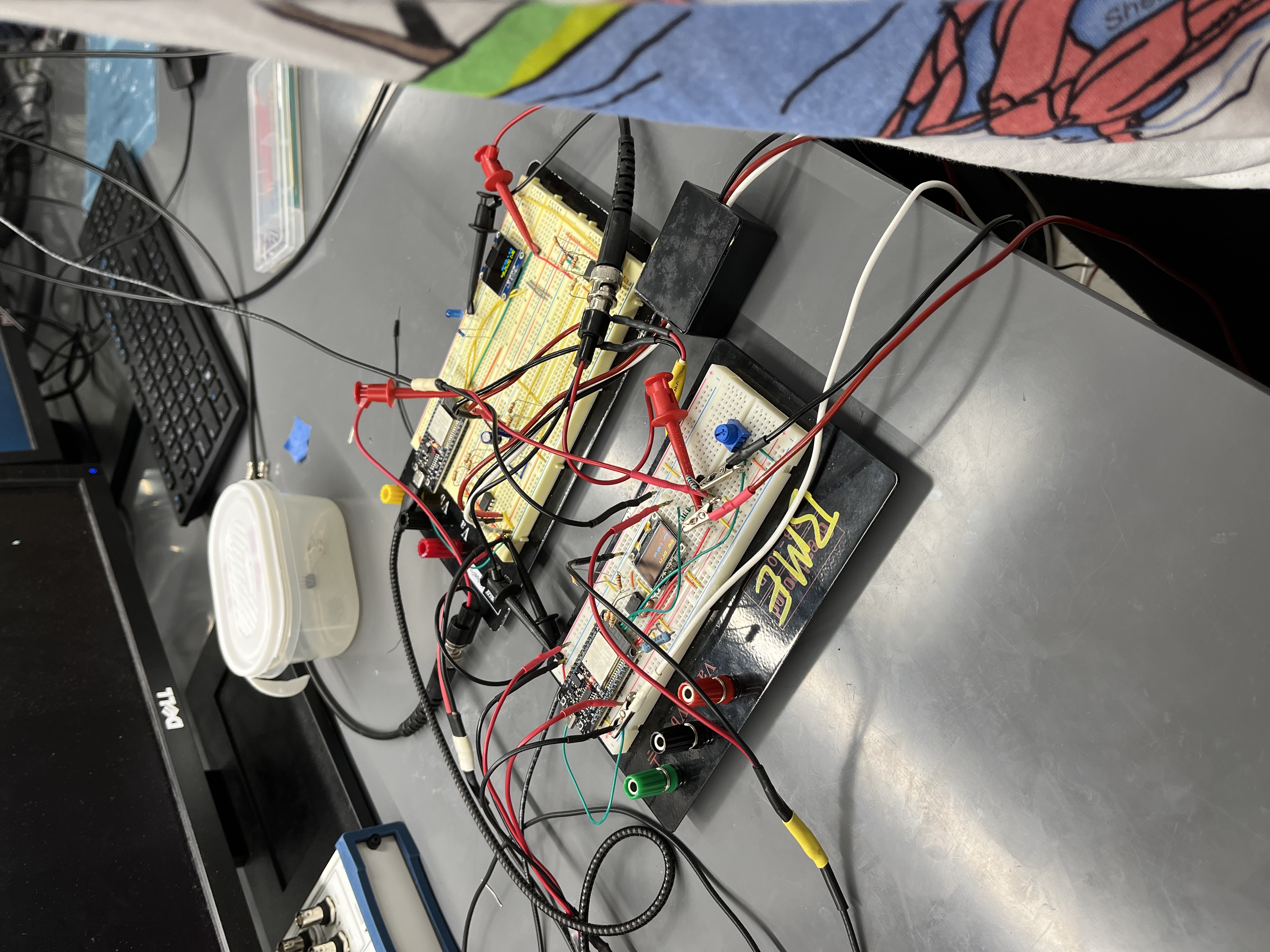 Frog Pacemaker Circuit
